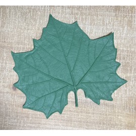 Large Rubber Sycamore Leaf Form